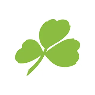 Aer Lingus Promo-Codes 