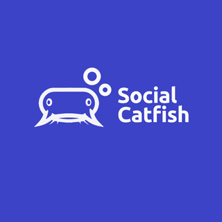 Social Catfish Promo Codes 